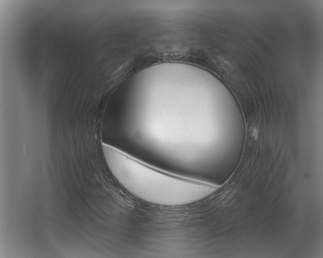 X0000068311252200604211027