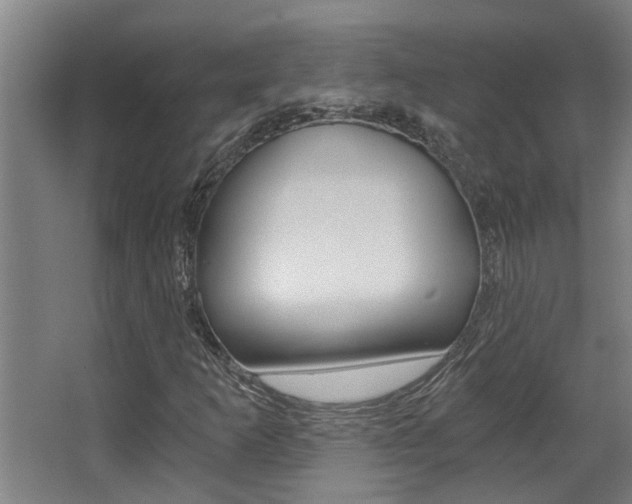 X0000068311253200604211027