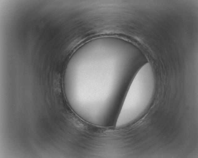 X0000068311265200604211027
