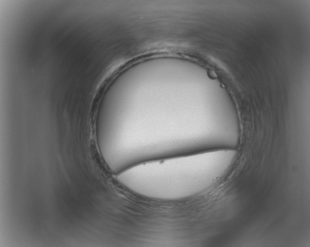 X0000068311267200604211027