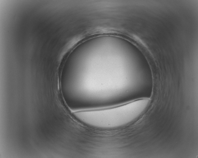 X0000068311269200604211027