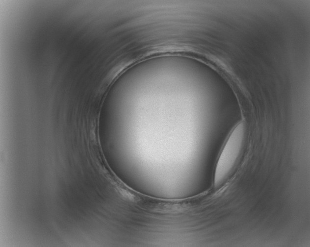 X0000068311273200604211027
