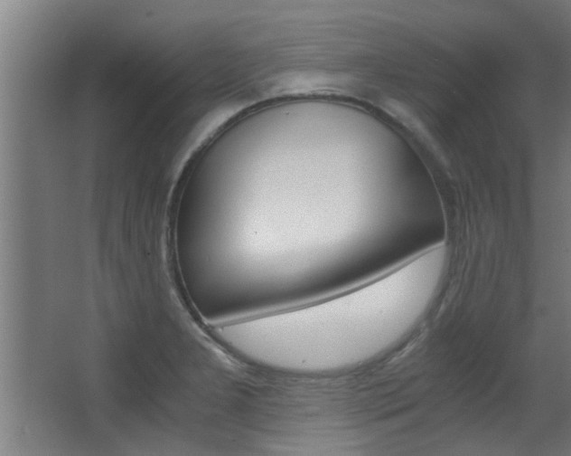 X0000068311277200604211027