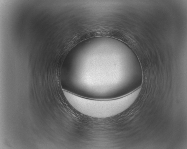 X0000068311298200604211026