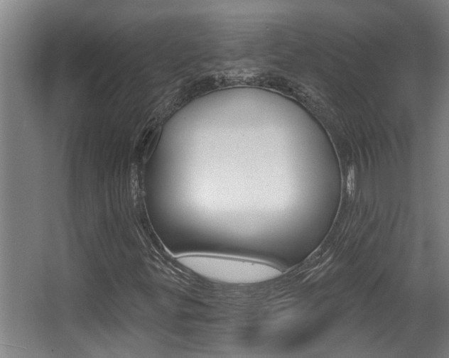 X0000068311299200604211026