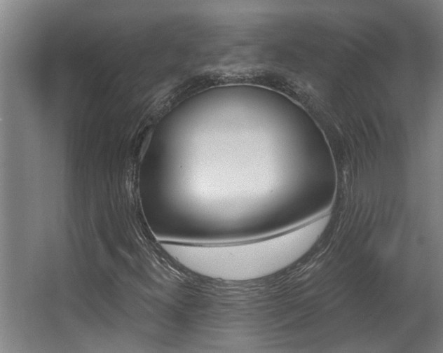 X0000068311300200604211026