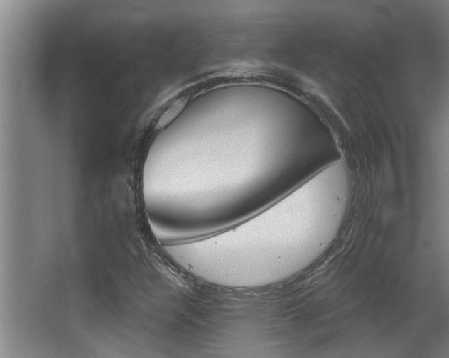 X0000068311304200604211026