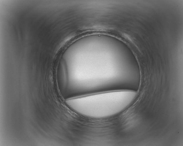 X0000068311307200604211026