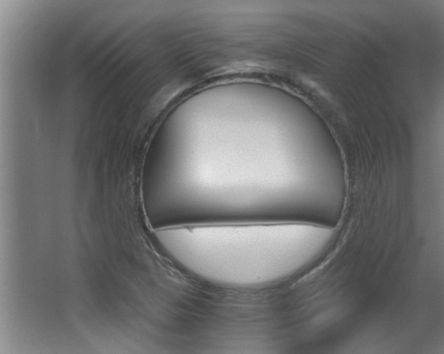 X0000068311313200604211026
