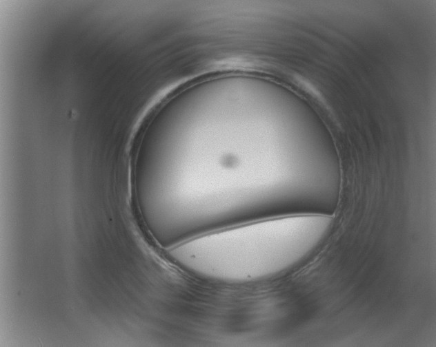 X0000068311323200604211026