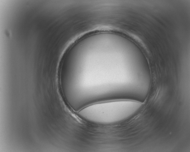 X0000068311327200604211026