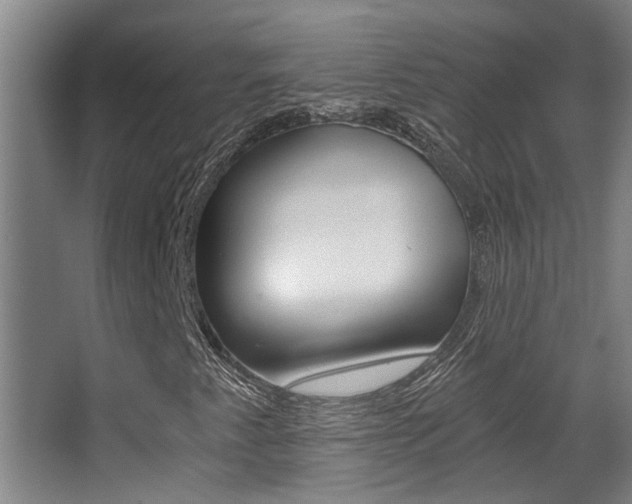 X0000068311345200604211026