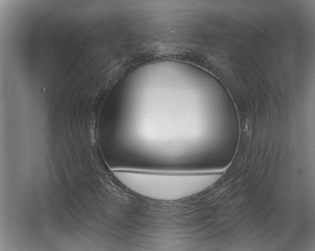 X0000068311348200604211026