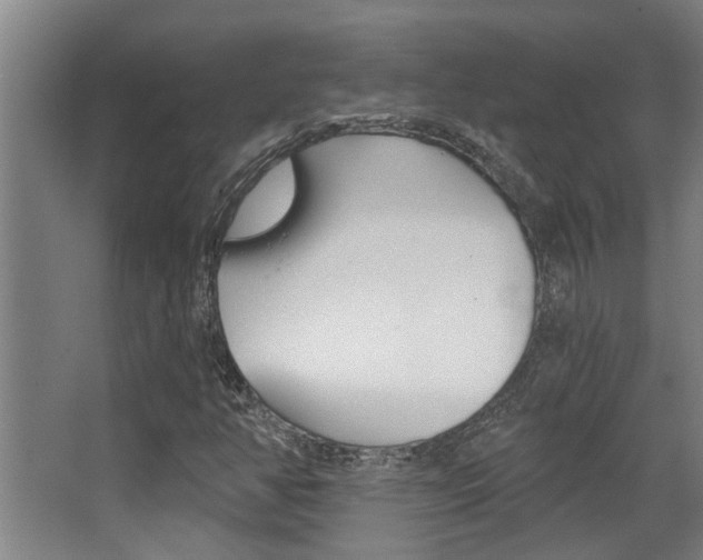 X0000068311350200604211026