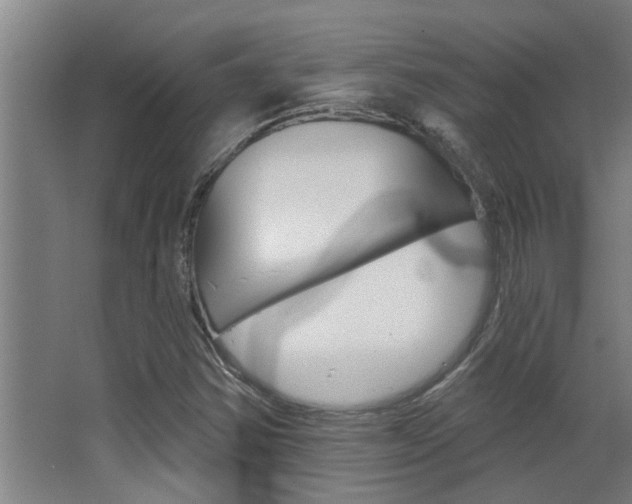 X0000068311354200604211026
