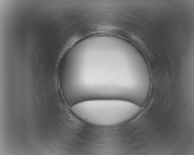 X0000068311362200604211026