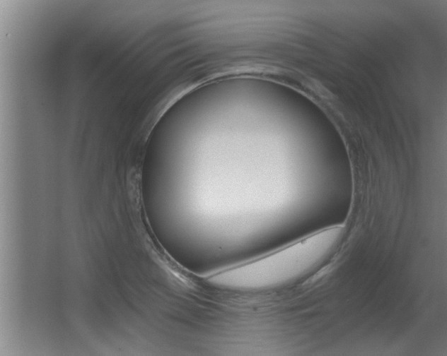X0000068311369200604211025