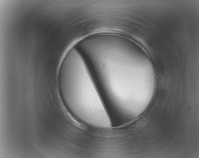 X0000068311371200604211025