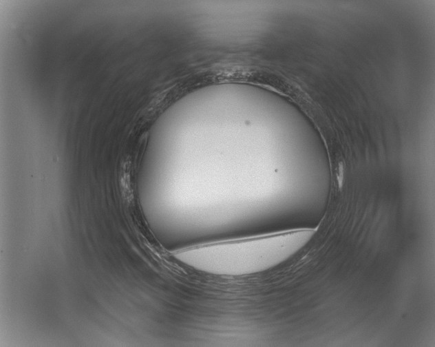 X0000068311396200604211024