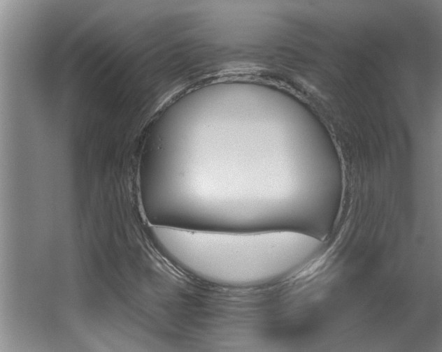 X0000068311401200604211024