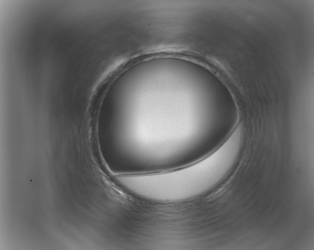X0000068311406200604211024