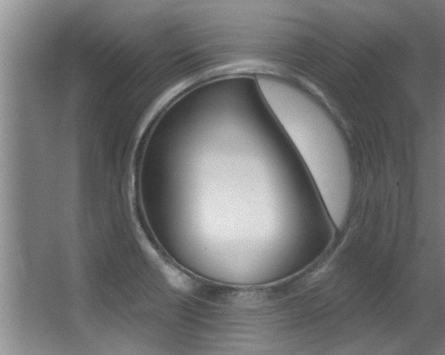 X0000068311418200604211025