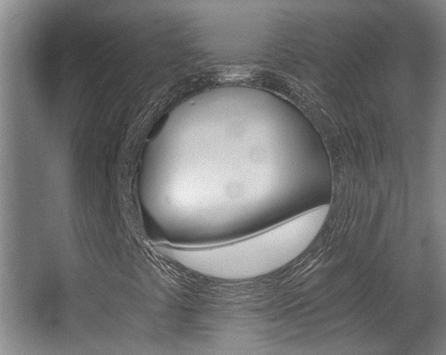 X0000068311441200604211024