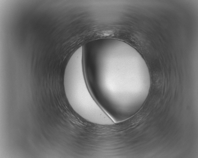 X0000068311442200604211024