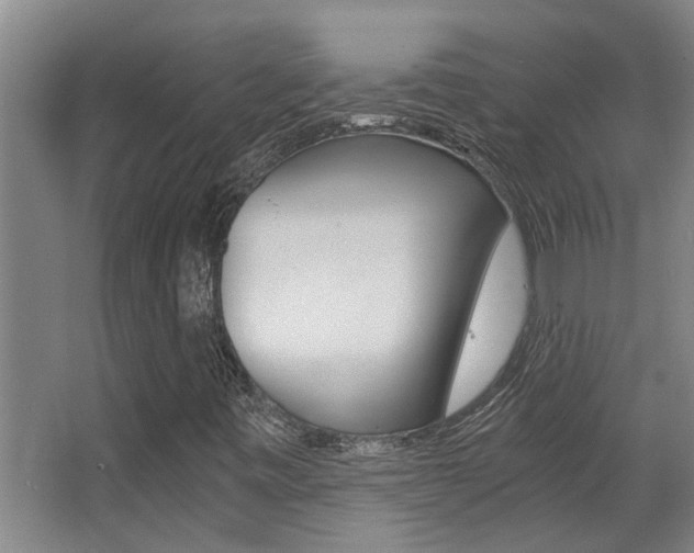X0000068311443200604211024