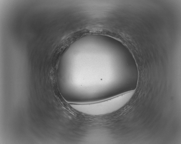 X0000068311445200604211024