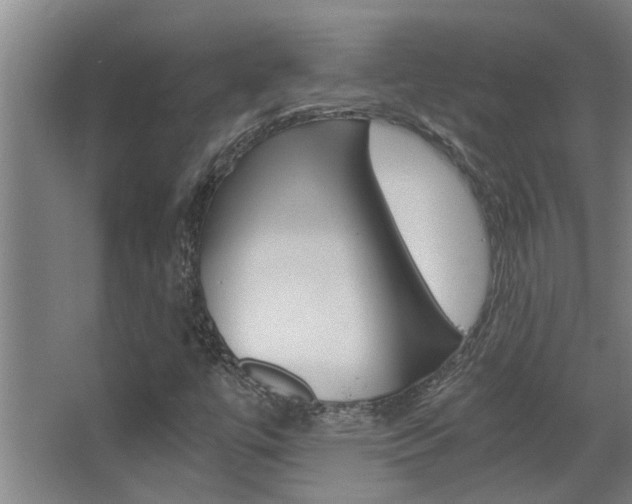 X0000068311447200604211024