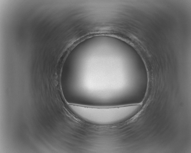 X0000068311449200604211024