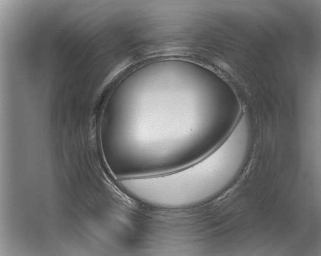 X0000068311450200604211024