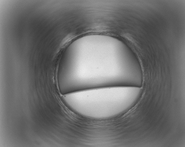 X0000068311451200604211024