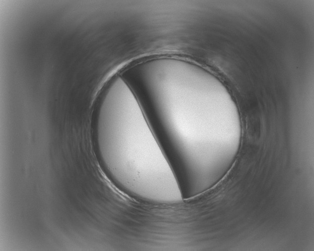 X0000068311452200604211024