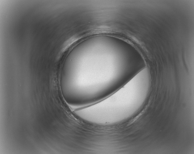X0000068311453200604211024
