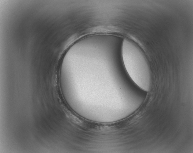 X0000068311459200604211024