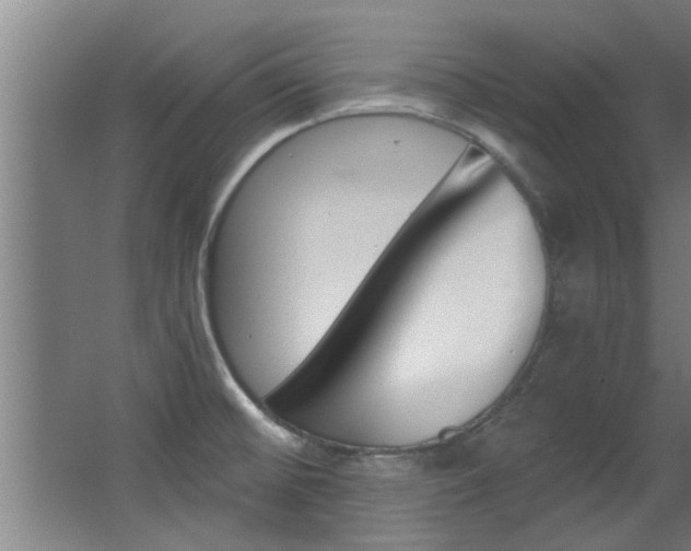 X0000068311476200604211024