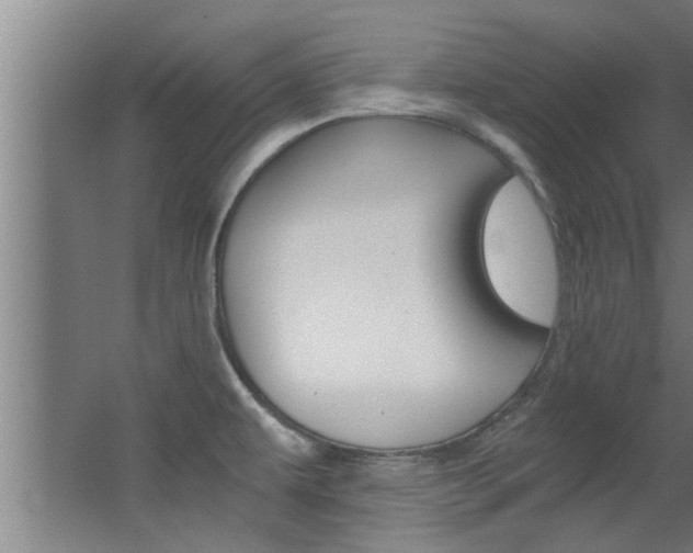 X0000068311479200604211024