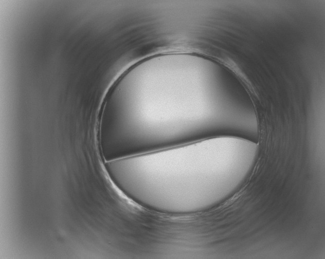 X0000068311484200604211024