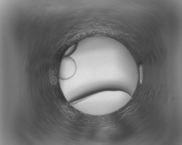 X0000068311491200604211023