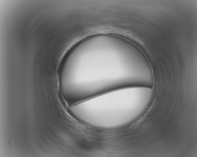 X0000068311509200604211023