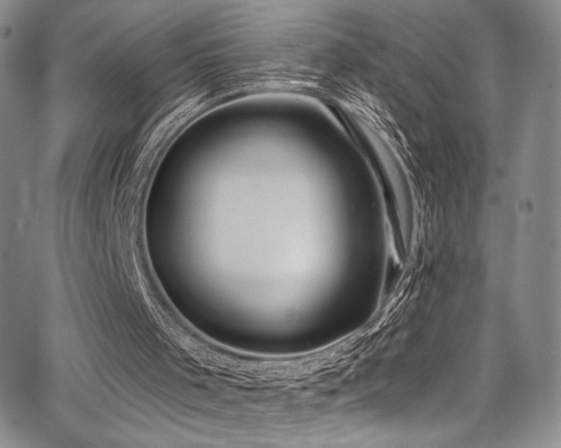 X0000068310001200604211216