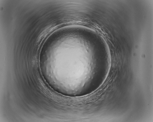 X0000068310002200604211216