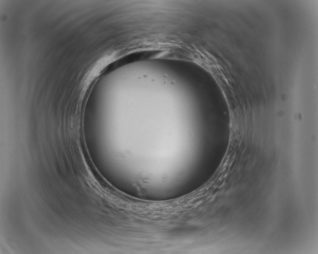 X0000068310003200604211216