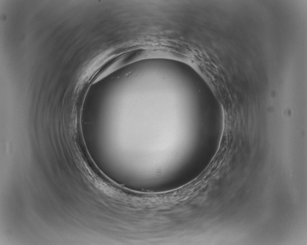 X0000068310005200604211216