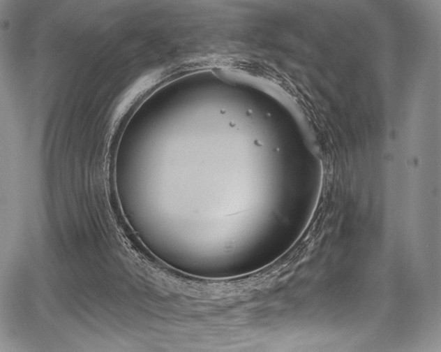 X0000068310006200604211216