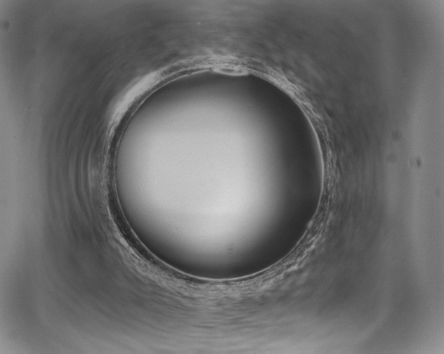 X0000068310007200604211216