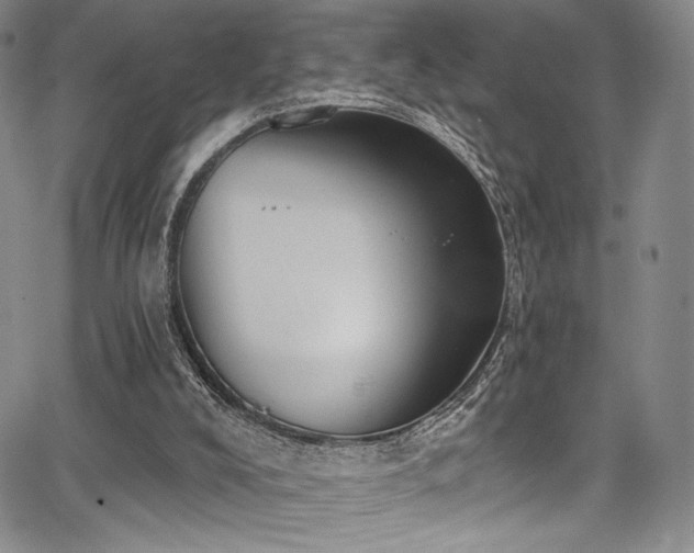 X0000068310008200604211216