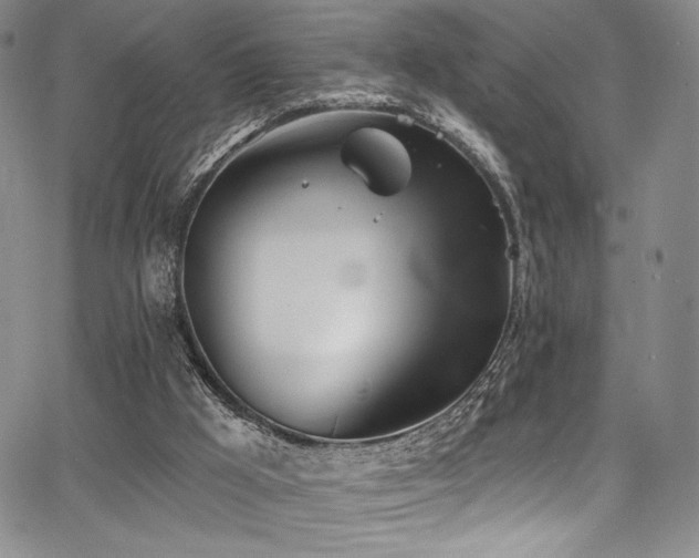 X0000068310009200604211216